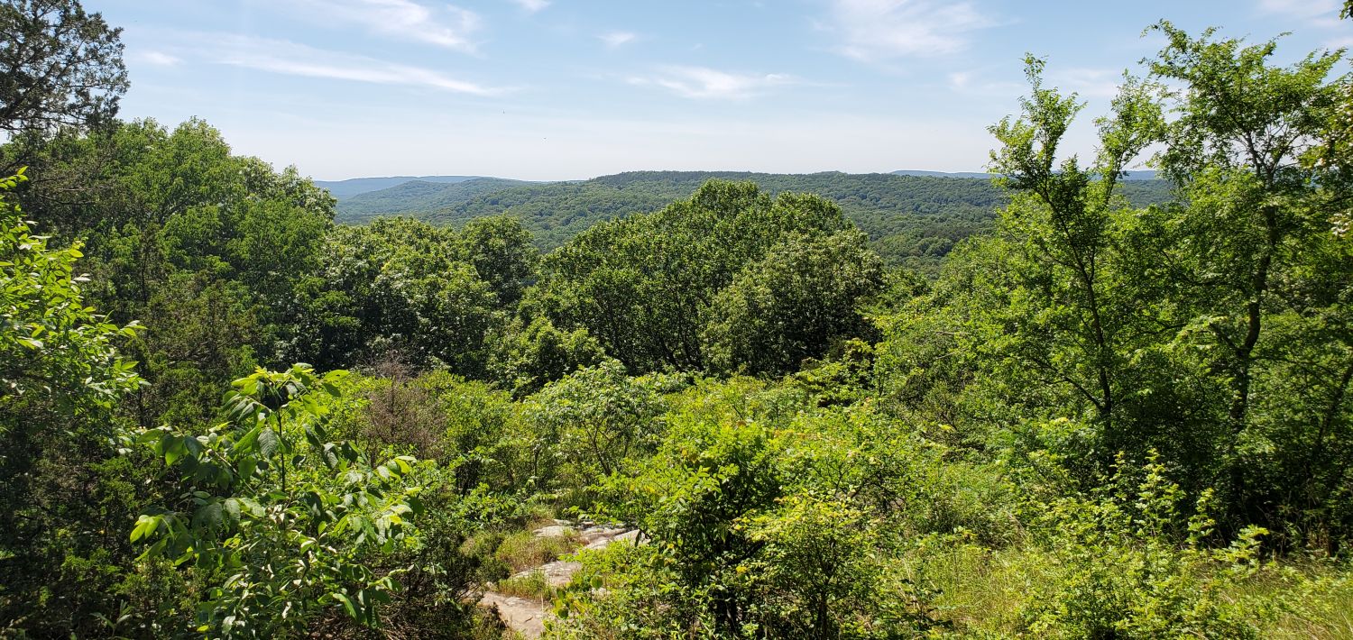 Rim Rock Rec Area - Rim Rock Rec Trail 